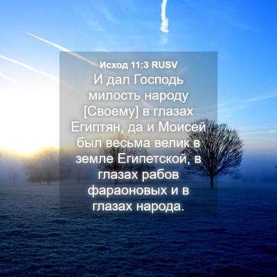 Picture 04 - Исход 11:3 RUSV - И дал Господь милость - Bible Verse Picture