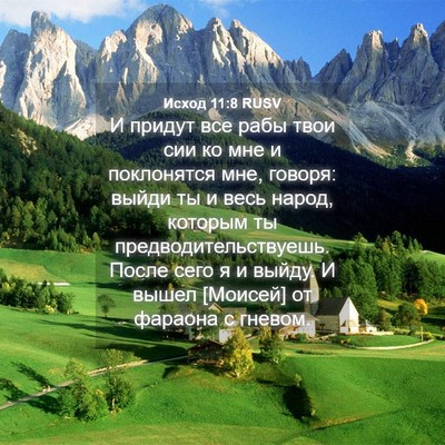 Picture 04 - Исход 11:8 RUSV - И придут все рабы твои сии - Bible Verse Picture