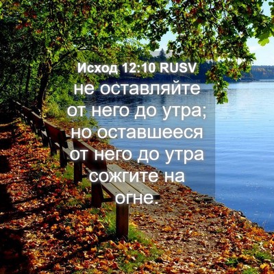 Picture 04 - Исход 12:10 RUSV - не оставляйте от него до - Bible Verse Picture