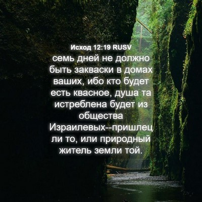 Picture 04 - Исход 12:19 RUSV - семь дней не должно быть - Bible Verse Picture
