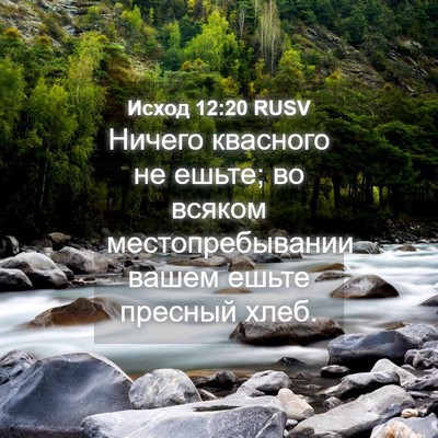 Picture 04 - Исход 12:20 RUSV - Ничего квасного не ешьте; - Bible Verse Picture