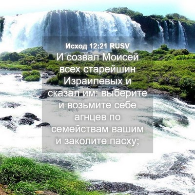 Picture 04 - Исход 12:21 RUSV - И созвал Моисей всех - Bible Verse Picture