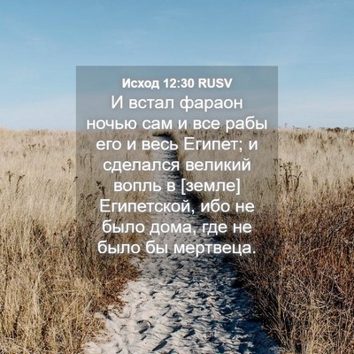 Picture 04 - Исход 12:30 RUSV - И встал фараон ночью сам и - Bible Verse Picture