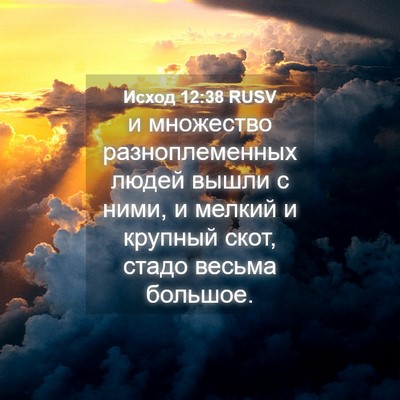 Picture 04 - Исход 12:38 RUSV - и множество - Bible Verse Picture