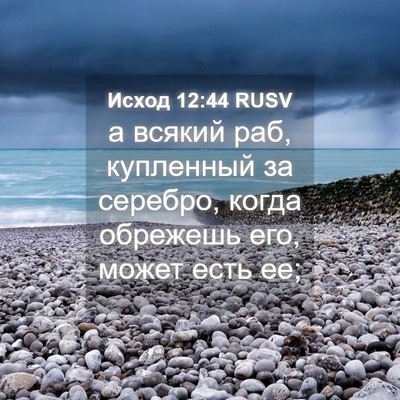 Picture 04 - Исход 12:44 RUSV - а всякий раб, купленный за - Bible Verse Picture