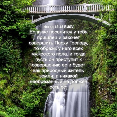 Picture 04 - Исход 12:48 RUSV - Если же поселится у тебя - Bible Verse Picture