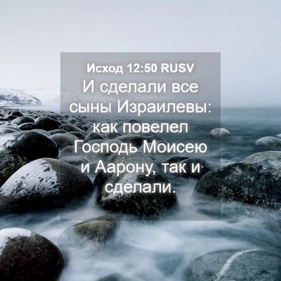 Picture 04 - Исход 12:50 RUSV - И сделали все сыны - Bible Verse Picture