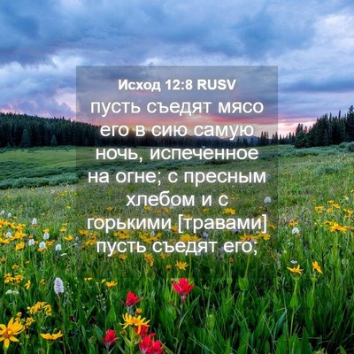 Picture 04 - Исход 12:8 RUSV - пусть съедят мясо его в сию - Bible Verse Picture