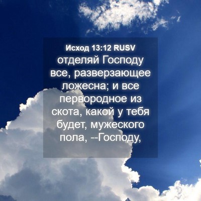 Picture 04 - Исход 13:12 RUSV - отделяй Господу все, - Bible Verse Picture