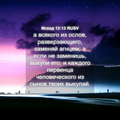 Picture 04 - Исход 13:13 RUSV - а всякого из ослов, - Bible Verse Picture