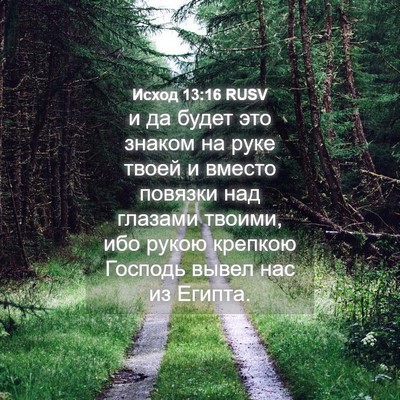 Picture 04 - Исход 13:16 RUSV - и да будет это знаком на - Bible Verse Picture