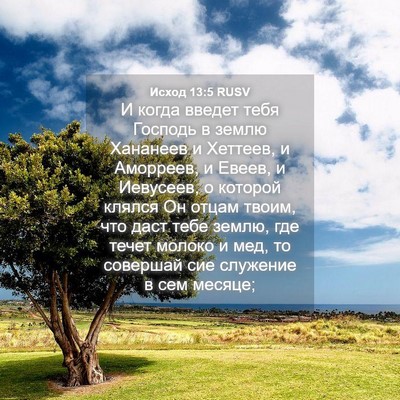 Picture 04 - Исход 13:5 RUSV - И когда введет тебя - Bible Verse Picture