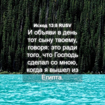 Picture 04 - Исход 13:8 RUSV - И объяви в день тот сыну - Bible Verse Picture