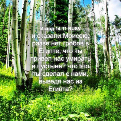 Picture 04 - Исход 14:11 RUSV - и сказали Моисею: разве нет - Bible Verse Picture