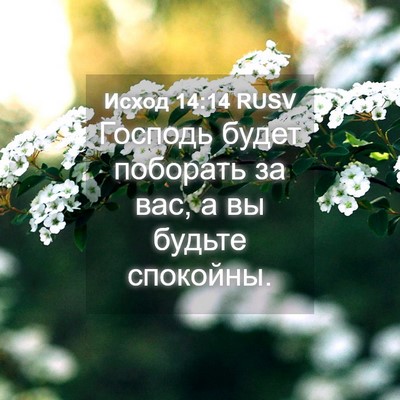 Picture 04 - Исход 14:14 RUSV - Господь будет поборать за - Bible Verse Picture