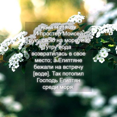 Picture 04 - Исход 14:27 RUSV - И простер Моисей руку свою - Bible Verse Picture