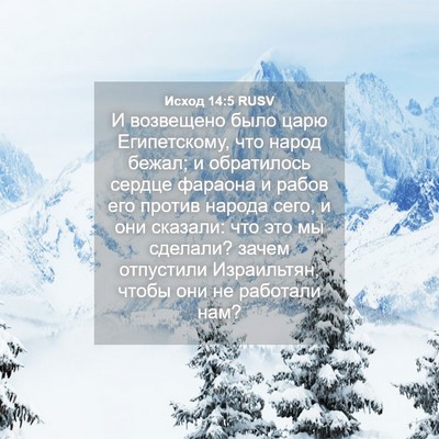 Picture 04 - Исход 14:5 RUSV - И возвещено было царю - Bible Verse Picture