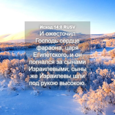 Picture 04 - Исход 14:8 RUSV - И ожесточил Господь сердце - Bible Verse Picture