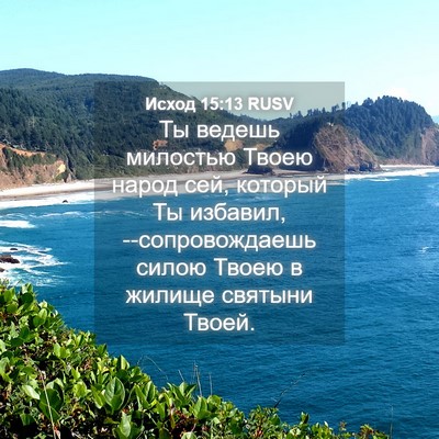Picture 04 - Исход 15:13 RUSV - Ты ведешь милостью Твоею - Bible Verse Picture