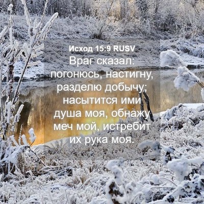 Picture 04 - Исход 15:9 RUSV - Враг сказал: погонюсь, - Bible Verse Picture
