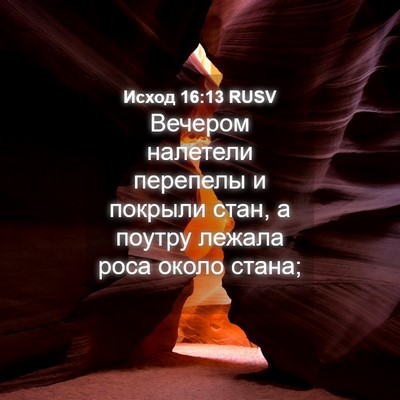 Picture 04 - Исход 16:13 RUSV - Вечером налетели перепелы - Bible Verse Picture