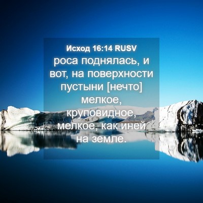 Picture 04 - Исход 16:14 RUSV - роса поднялась, и вот, на - Bible Verse Picture