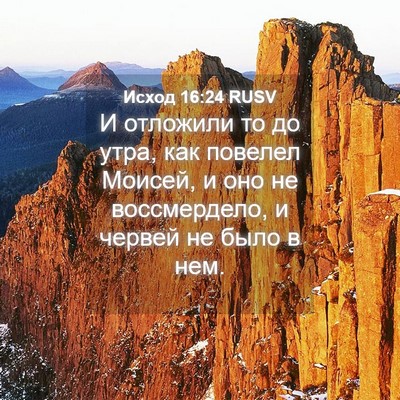 Picture 04 - Исход 16:24 RUSV - И отложили то до утра, как - Bible Verse Picture