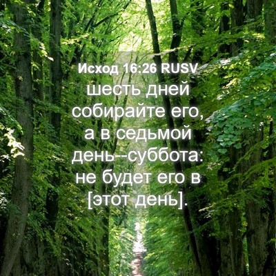 Picture 04 - Исход 16:26 RUSV - шесть дней собирайте его, а - Bible Verse Picture