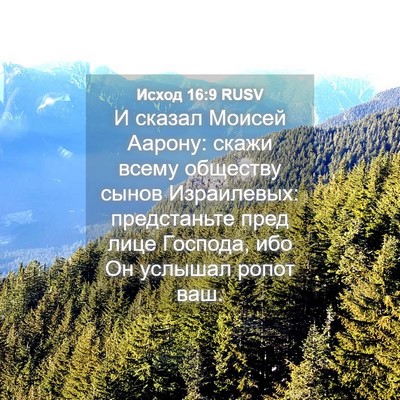 Picture 04 - Исход 16:9 RUSV - И сказал Моисей Аарону: - Bible Verse Picture