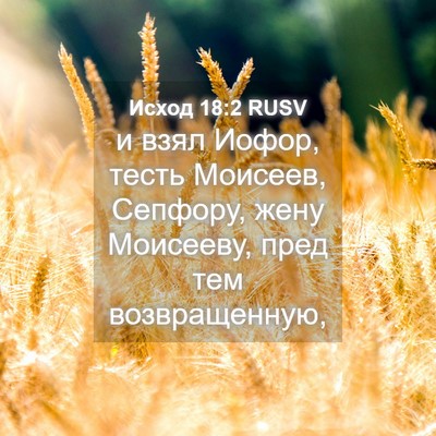 Picture 04 - Исход 18:2 RUSV - и взял Иофор, тесть - Bible Verse Picture