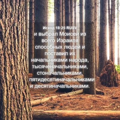 Picture 04 - Исход 18:25 RUSV - и выбрал Моисей из всего - Bible Verse Picture