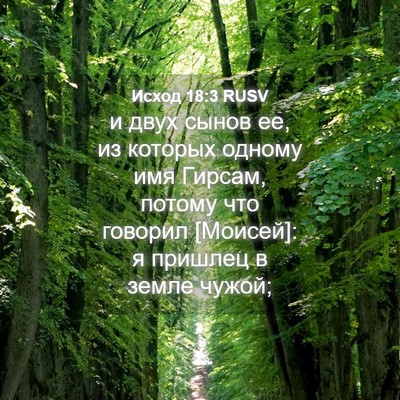 Picture 04 - Исход 18:3 RUSV - и двух сынов ее, из которых - Bible Verse Picture
