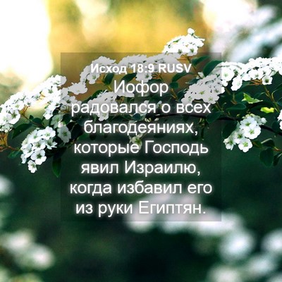 Picture 04 - Исход 18:9 RUSV - Иофор радовался о всех - Bible Verse Picture
