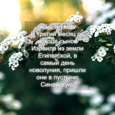 Picture 04 - Исход 19:1 RUSV - В третий месяц по исходе - Bible Verse Picture