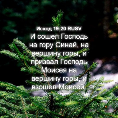 Picture 04 - Исход 19:20 RUSV - И сошел Господь на гору - Bible Verse Picture