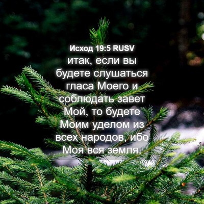 Picture 04 - Исход 19:5 RUSV - итак, если вы будете - Bible Verse Picture