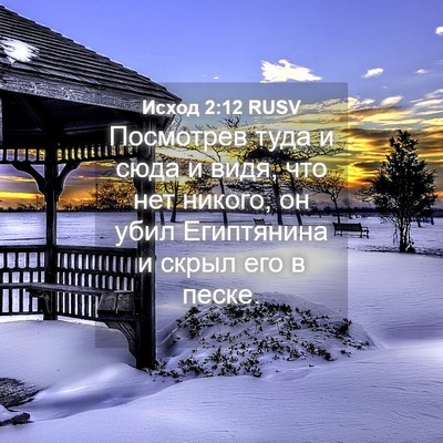 Picture 04 - Исход 2:12 RUSV - Посмотрев туда и сюда и - Bible Verse Picture