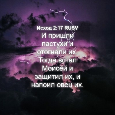 Picture 04 - Исход 2:17 RUSV - И пришли пастухи и - Bible Verse Picture