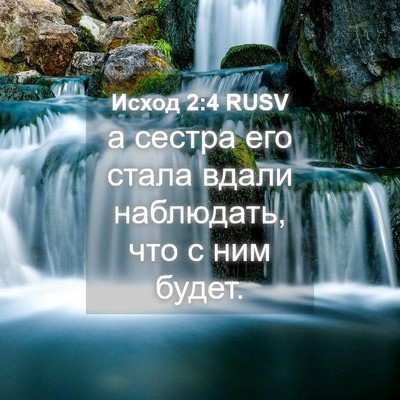 Picture 04 - Исход 2:4 RUSV - а сестра его стала вдали - Bible Verse Picture
