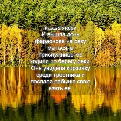 Picture 04 - Исход 2:5 RUSV - И вышла дочь фараонова на - Bible Verse Picture