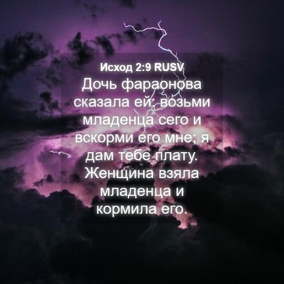 Picture 04 - Исход 2:9 RUSV - Дочь фараонова сказала ей: - Bible Verse Picture