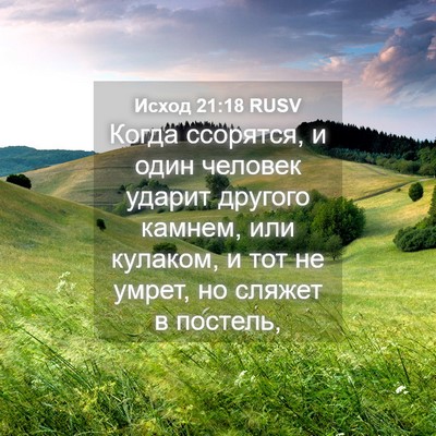 Picture 04 - Исход 21:18 RUSV - Когда ссорятся, и один - Bible Verse Picture