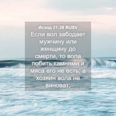 Picture 04 - Исход 21:28 RUSV - Если вол забодает мужчину - Bible Verse Picture