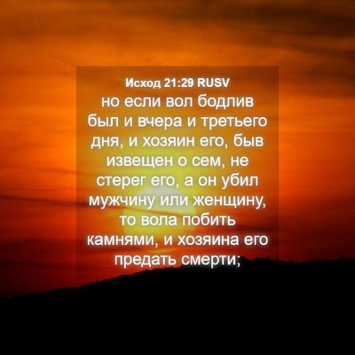 Picture 04 - Исход 21:29 RUSV - но если вол бодлив был и - Bible Verse Picture