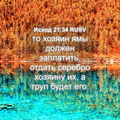 Picture 04 - Исход 21:34 RUSV - то хозяин ямы должен - Bible Verse Picture