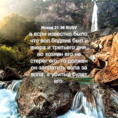 Picture 04 - Исход 21:36 RUSV - а если известно было, что - Bible Verse Picture