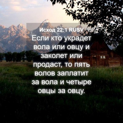 Picture 04 - Исход 22:1 RUSV - Если кто украдет вола или - Bible Verse Picture