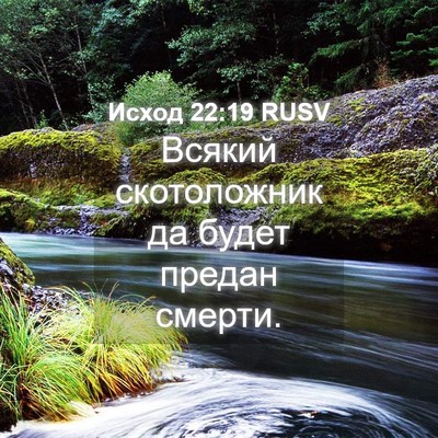 Picture 04 - Исход 22:19 RUSV - Всякий скотоложник да - Bible Verse Picture
