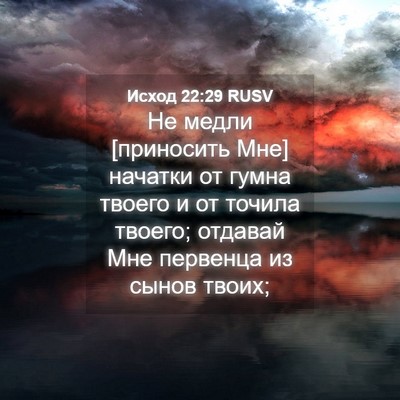 Picture 04 - Исход 22:29 RUSV - Не медли [приносить Мне] - Bible Verse Picture
