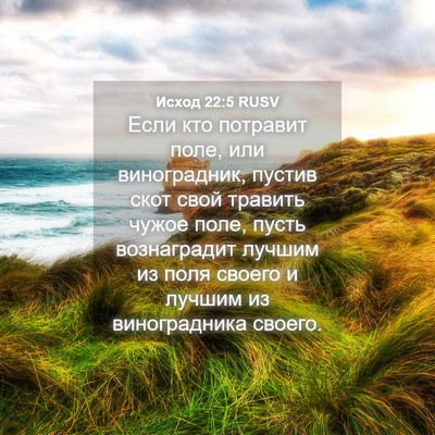 Picture 04 - Исход 22:5 RUSV - Если кто потравит поле, или - Bible Verse Picture